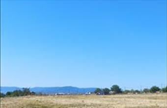 Eladó Fóti lakóövezeti telek hirdetés (62817994)