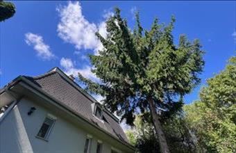 Eladó Budaörsi családi ház hirdetés (55815237)