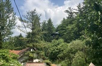 Eladó Visegrádi tégla lakás hirdetés (13865142)