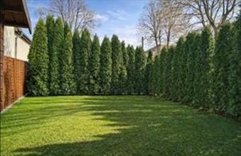 Eladó Budapest III. kerületi tégla lakás hirdetés (49494688)