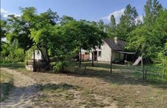 Eladó Kiskunmajsai tanya hirdetés (41553838)