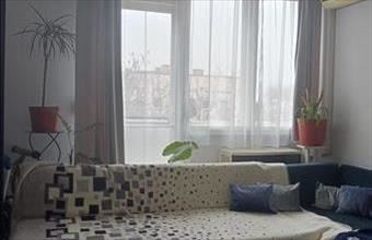 Eladó Kalocsai panel lakás hirdetés (38793934)