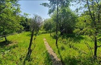 Eladó Miskolci lakóövezeti telek hirdetés (74999562)