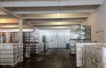 Kiadó Berettyóújfalui pince, présház hirdetés (43785345)