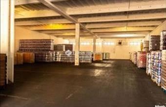 Kiadó Berettyóújfalui pince, présház hirdetés (73334347)