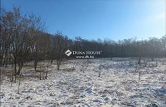 Eladó Debreceni külterületi telek hirdetés (47197365)