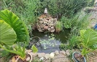 Eladó Pécsi családi ház hirdetés (25713384)