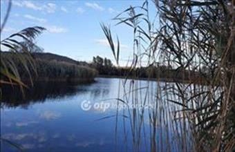 Eladó Balatongyöröki egyéb telek hirdetés (48177938)