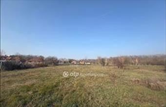 Eladó Gyulai lakóövezeti telek hirdetés (49484912)