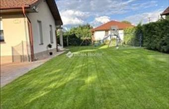 Eladó Kecskeméti családi ház hirdetés (46493838)