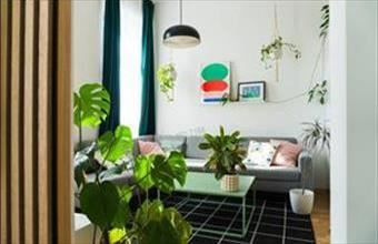 Eladó Budapest VII. kerületi tégla lakás hirdetés (84439573)