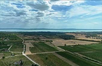 Eladó Szentantalfai egyéb mezőgazdasági ingatlan hirdetés (93512474)