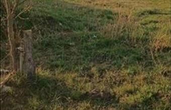 Eladó Sörédi lakóövezeti telek hirdetés (67243727)