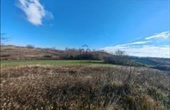 Eladó Nagysápi lakóövezeti telek hirdetés (34474395)