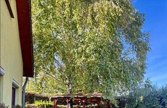 Eladó Szigetszentmiklósi ikerház hirdetés (35948813)