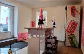 Eladó Budapest IX. kerületi tégla lakás hirdetés (54883444)