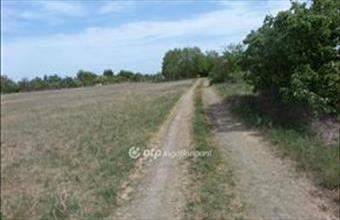 Eladó Kecskeméti külterületi telek hirdetés (43673844)