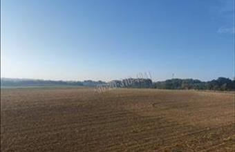 Eladó Paksi egyéb telek hirdetés (53884944)