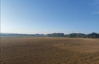 Eladó Paksi egyéb telek hirdetés (53884944)