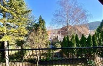 Eladó Solymári családi ház hirdetés (41262276)