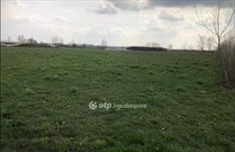 Eladó Pápai egyéb fejlesztési terület hirdetés (24467836)