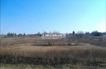 Eladó Hévízi termőföld, szántó hirdetés (39672472)