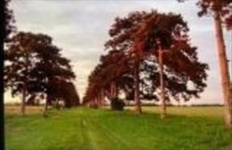 Eladó Keszthelyi termőföld, szántó hirdetés (39544833)