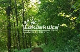 Eladó Balatonszőlősi termőföld, szántó hirdetés (92823313)