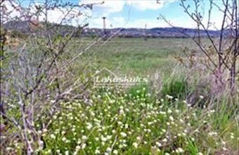 Eladó Balatonszőlősi termőföld, szántó hirdetés (36548237)