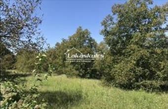 Eladó Cserszegtomaji termőföld, szántó hirdetés (97374635)