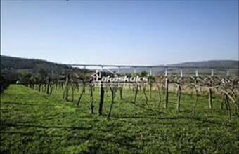 Eladó Kőröshegyi termőföld, szántó hirdetés (36371316)