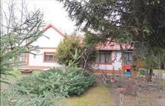 Eladó Csemői tanya hirdetés (99387137)