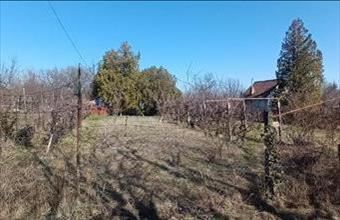 Eladó Miskolci zártkert hirdetés (54614558)