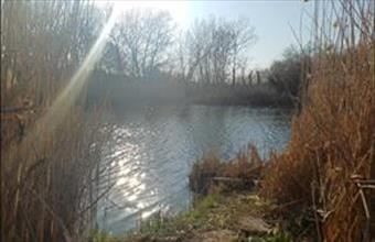 Eladó Szentesi külterületi telek hirdetés (97378235)