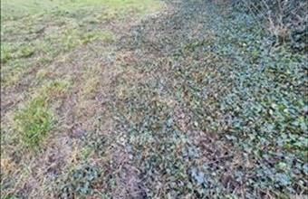 Eladó Szentesi lakóövezeti telek hirdetés (44785476)