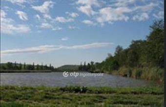 Eladó Bicskei családi ház hirdetés (49688274)