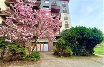 Eladó Oroszlányi tégla lakás hirdetés (48474723)