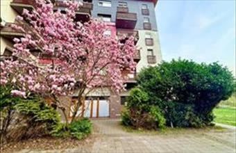 Eladó Oroszlányi tégla lakás hirdetés (48474723)