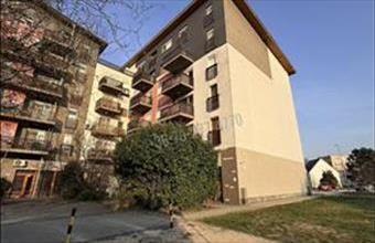 Eladó Oroszlányi tégla lakás hirdetés (48474723)