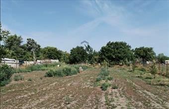 Eladó Törteli lakóövezeti telek hirdetés (47649595)