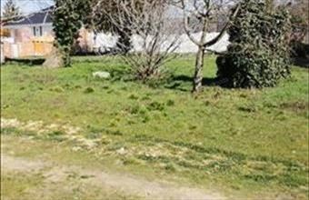 Eladó Gyenesdiási lakóövezeti telek hirdetés (57497894)