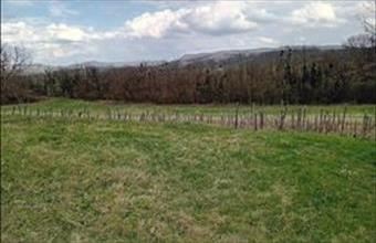 Eladó Karmacsi egyéb mezőgazdasági ingatlan hirdetés (29988968)