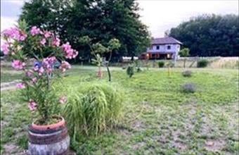 Eladó Kiskunmajsai tanya hirdetés (37594472)