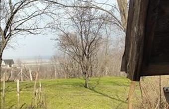 Eladó Győrújbaráti üdülőövezeti telek hirdetés (93328964)