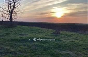 Eladó Kardosi tanya hirdetés (29191449)