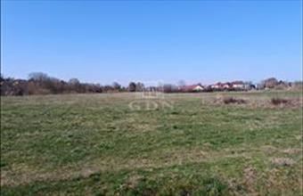 Eladó Péceli lakóövezeti telek hirdetés (34773689)