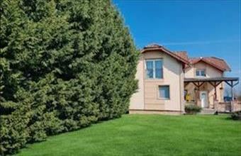 Eladó Szigethalomi családi ház hirdetés (15933887)