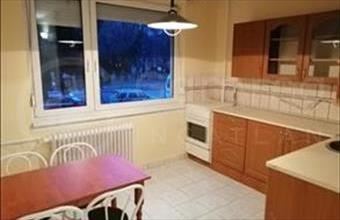 Kiadó Miskolci panel lakás hirdetés (29745286)