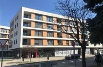 Kiadó Győri teremgarázs hely hirdetés (13393349)