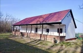 Eladó Izsáki tanya hirdetés (57344532)